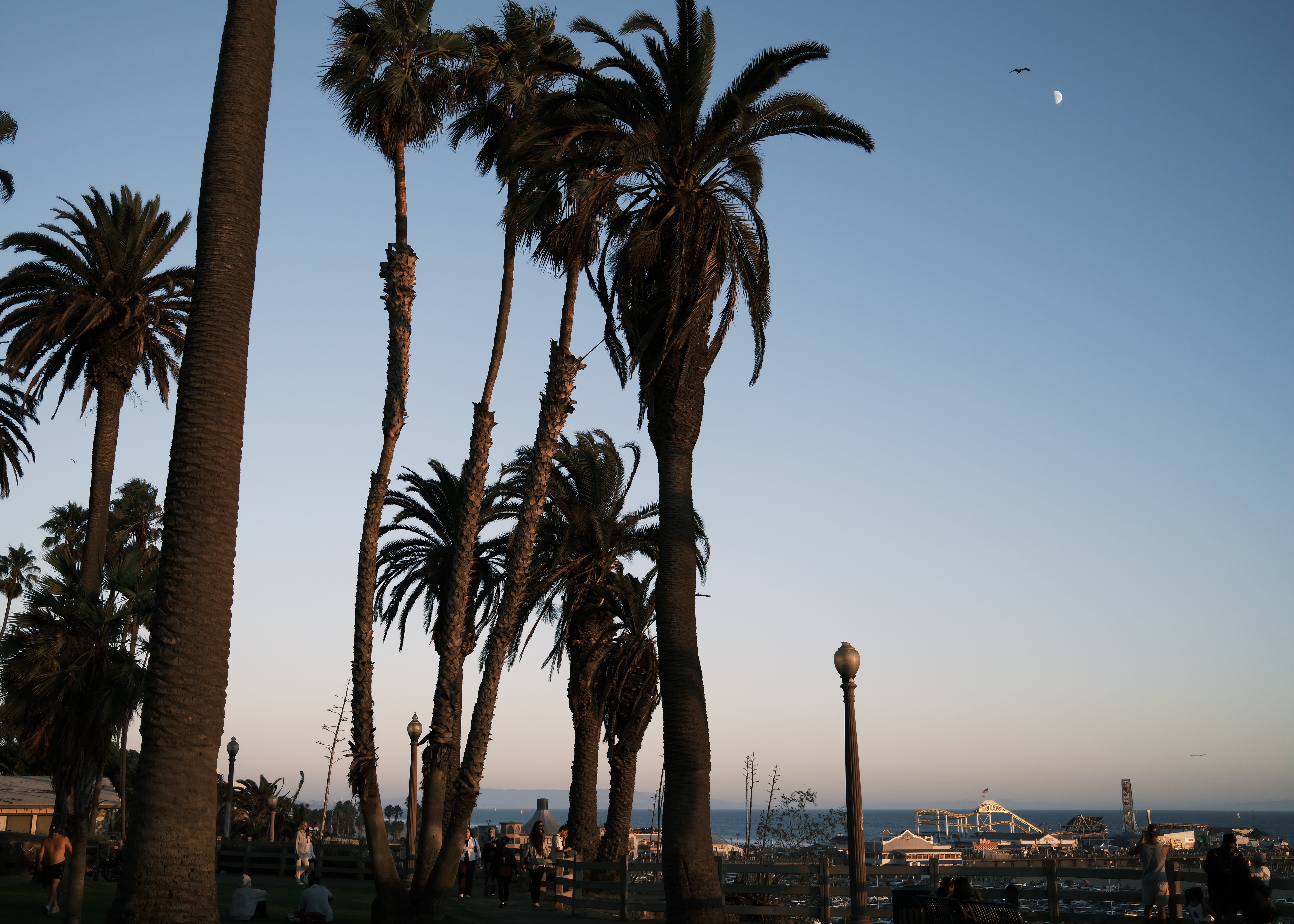 LA trip photo 3