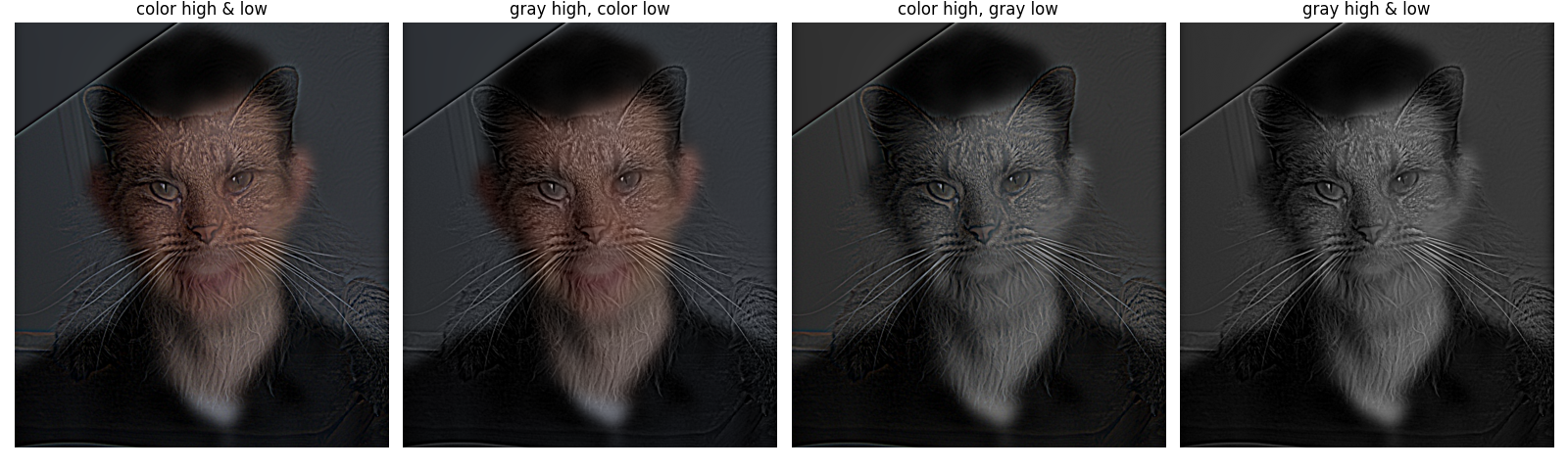 color analysis of hybrid image 1