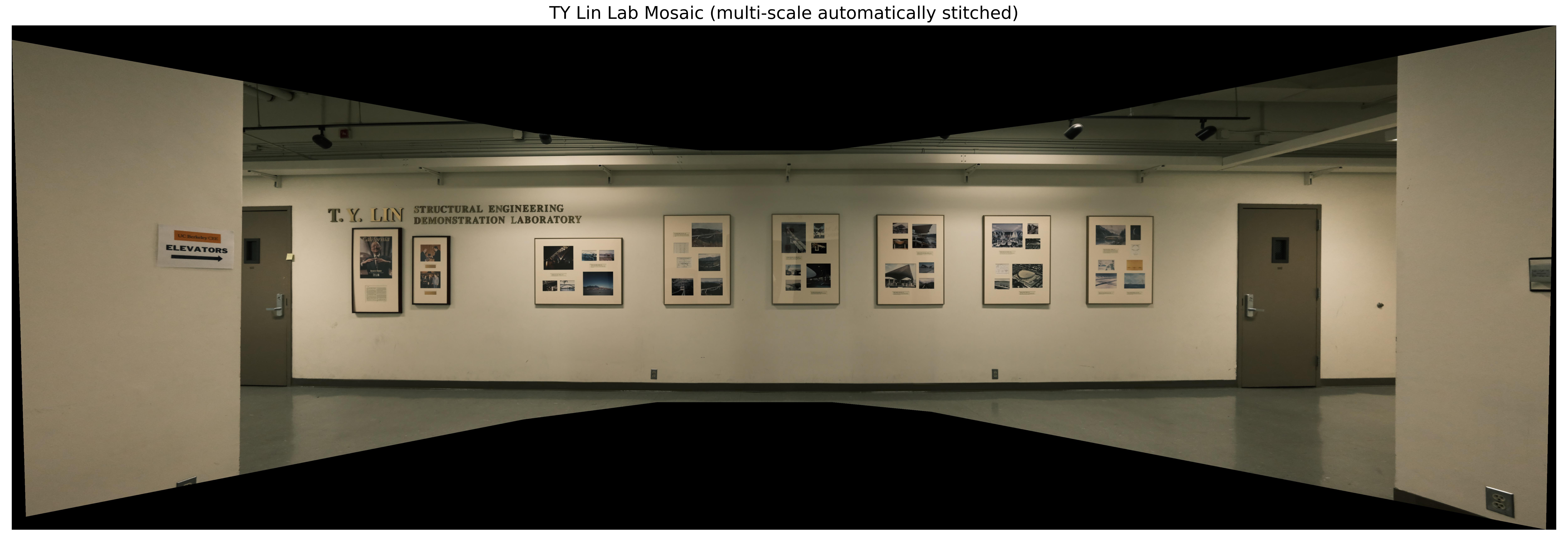 TYLinLab Mosaic Multi-scale Automatically Stitched
