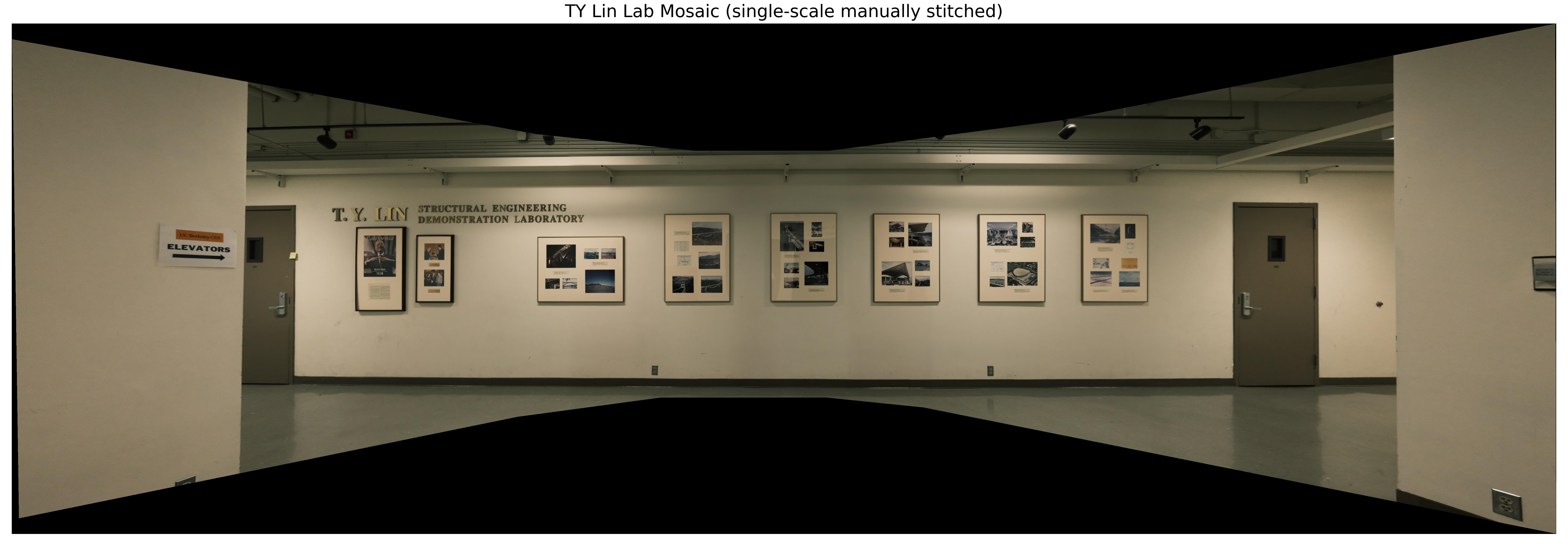 TYLinLab Mosaic Single-scale Manually Stitched