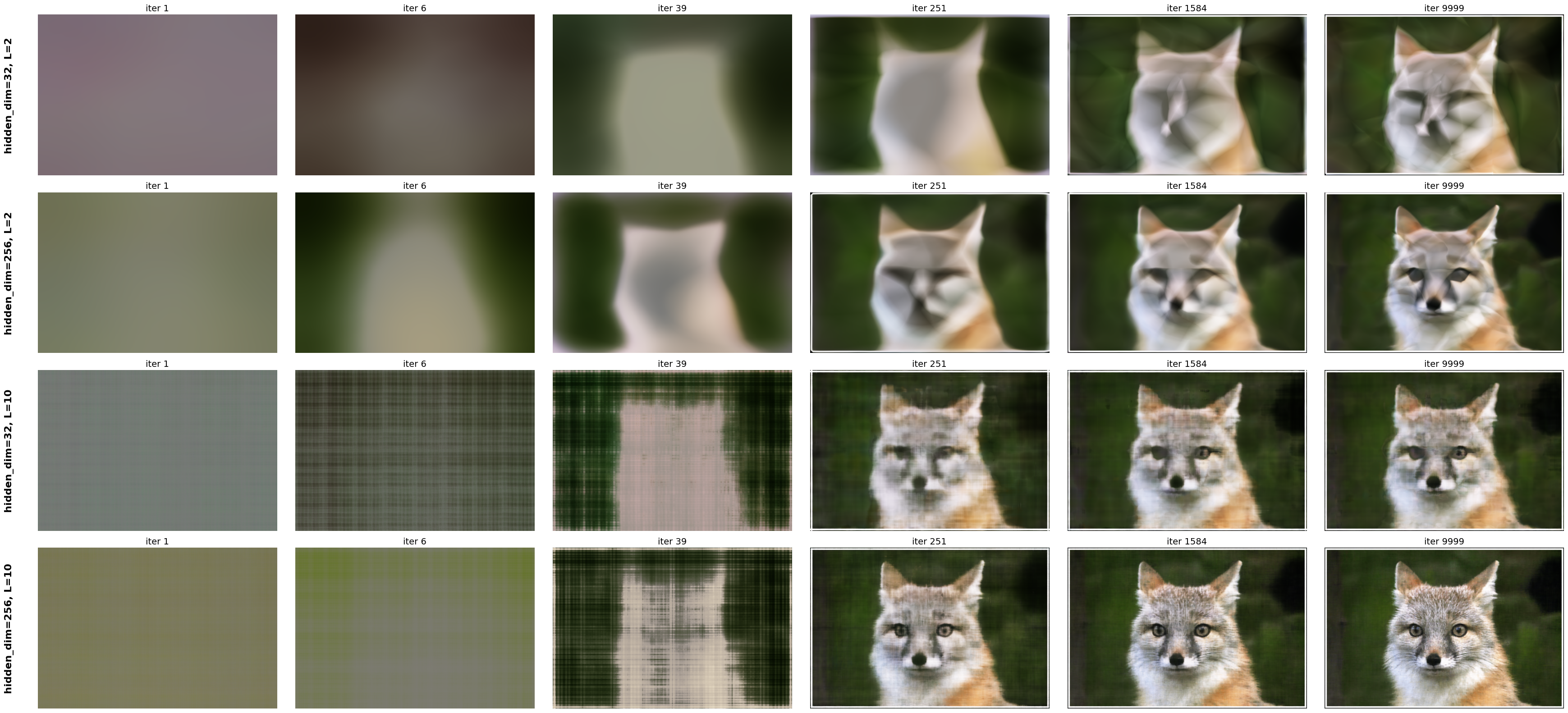 Reconstructed Images of Fox at Different Training Iterations